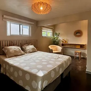 Studiocuracao Appartement Grote Berg